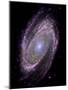 Spiral Galaxy M81, Composite Image-null-Mounted Photographic Print