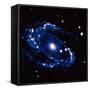 Spiral Galaxy M81 in Constallation of Ursa Minor-null-Framed Stretched Canvas