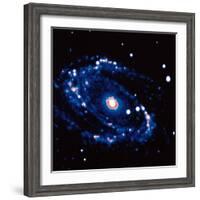 Spiral Galaxy M81 in Constallation of Ursa Minor-null-Framed Photographic Print