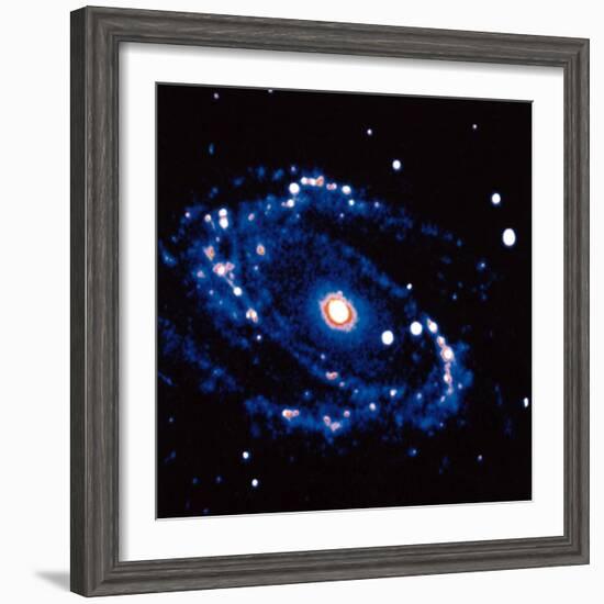 Spiral Galaxy M81 in Constallation of Ursa Minor-null-Framed Photographic Print