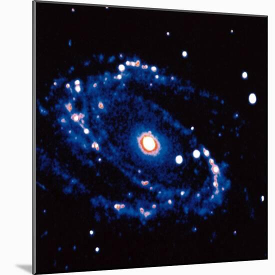 Spiral Galaxy M81 in Constallation of Ursa Minor-null-Mounted Photographic Print