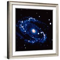 Spiral Galaxy M81 in Constallation of Ursa Minor-null-Framed Photographic Print