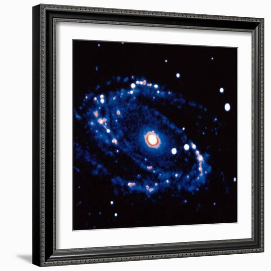 Spiral Galaxy M81 in Constallation of Ursa Minor-null-Framed Photographic Print