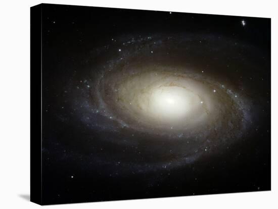 Spiral Galaxy M81-Stocktrek Images-Stretched Canvas