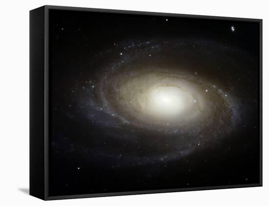 Spiral Galaxy M81-Stocktrek Images-Framed Stretched Canvas