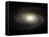 Spiral Galaxy M81-Stocktrek Images-Framed Stretched Canvas