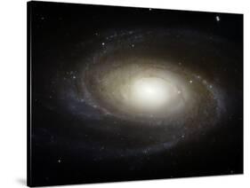 Spiral Galaxy M81-Stocktrek Images-Stretched Canvas