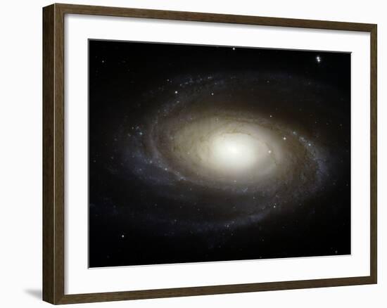 Spiral Galaxy M81-Stocktrek Images-Framed Photographic Print