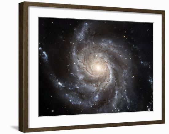 Spiral Galaxy Messier 101 (M101)-Stocktrek Images-Framed Photographic Print