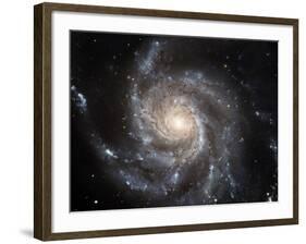 Spiral Galaxy Messier 101 (M101)-Stocktrek Images-Framed Photographic Print