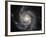 Spiral Galaxy Messier 101 (M101)-Stocktrek Images-Framed Photographic Print