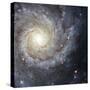 Spiral Galaxy Messier 74-Stocktrek Images-Stretched Canvas