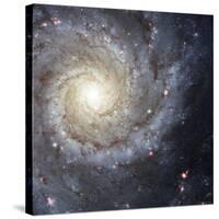 Spiral Galaxy Messier 74-Stocktrek Images-Stretched Canvas