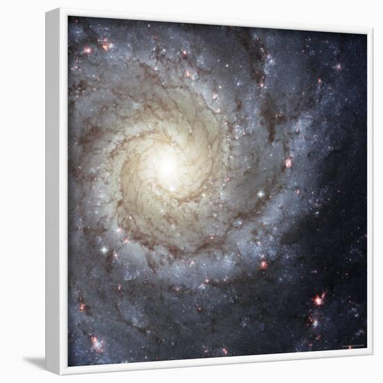 Spiral Galaxy Messier 74-Stocktrek Images-Framed Photographic Print