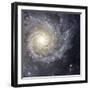 Spiral Galaxy Messier 74-Stocktrek Images-Framed Photographic Print