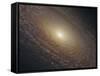 Spiral Galaxy NGC 2841-Stocktrek Images-Framed Stretched Canvas