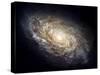 Spiral Galaxy NGC 4414-null-Stretched Canvas