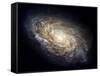 Spiral Galaxy NGC 4414-null-Framed Stretched Canvas
