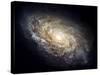 Spiral Galaxy NGC 4414-null-Stretched Canvas