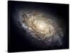 Spiral Galaxy NGC 4414-null-Stretched Canvas