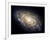 Spiral Galaxy NGC 4414-null-Framed Photographic Print