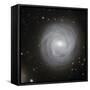 Spiral Galaxy NGC 4921-Stocktrek Images-Framed Stretched Canvas