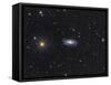 Spiral Galaxy Ngc 5033 in the Constellation Canes Venatici-null-Framed Stretched Canvas