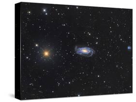 Spiral Galaxy Ngc 5033 in the Constellation Canes Venatici-null-Stretched Canvas