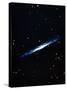 Spiral Galaxy Viewed Edge On-null-Stretched Canvas