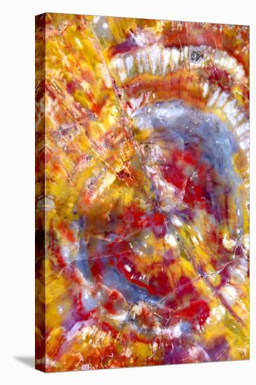 Spiral Galaxy-Douglas Taylor-Stretched Canvas