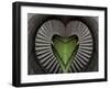 Spiral Heart, 2014-Ant Smith-Framed Giclee Print