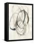 Spiral Hoops II-Jennifer Goldberger-Framed Stretched Canvas