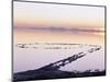 Spiral Jetty Above Great Salt Lake, Utah, USA-Scott T^ Smith-Mounted Photographic Print