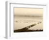 Spiral Jetty Above Great Salt Lake, Utah, USA-Scott T. Smith-Framed Photographic Print