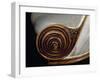 Spiral Motif, Detail from Art Deco Style Armchair, Ca 1913-Paul Iribe-Framed Giclee Print