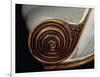 Spiral Motif, Detail from Art Deco Style Armchair, Ca 1913-Paul Iribe-Framed Giclee Print