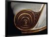 Spiral Motif, Detail from Art Deco Style Armchair, Ca 1913-Paul Iribe-Framed Giclee Print