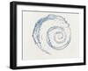 Spiral of Water Drops with White Background-null-Framed Photographic Print