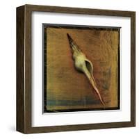 Spiral Shell-John Golden-Framed Giclee Print