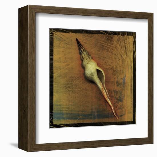 Spiral Shell-John Golden-Framed Giclee Print