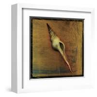 Spiral Shell-John Golden-Framed Giclee Print