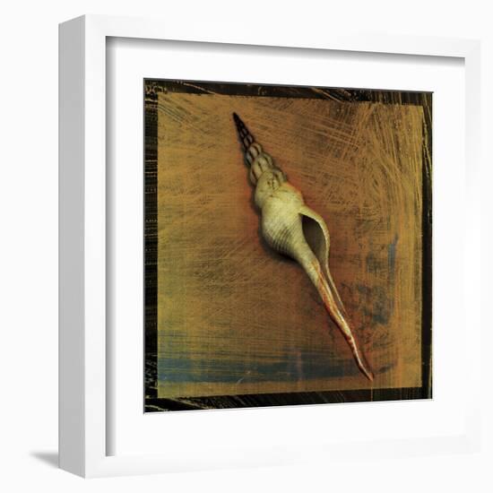 Spiral Shell-John Golden-Framed Art Print