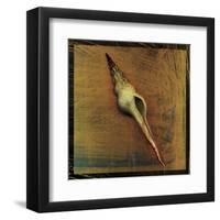 Spiral Shell-John W^ Golden-Framed Art Print