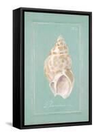 Spiral Shell-Hardenbrook Studio-Framed Stretched Canvas