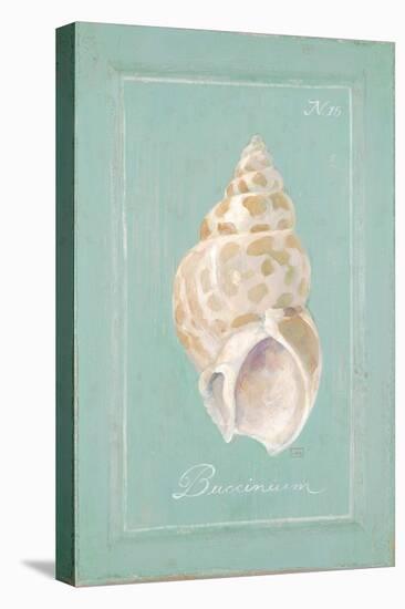 Spiral Shell-Hardenbrook Studio-Stretched Canvas