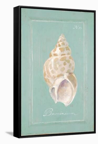 Spiral Shell-Hardenbrook Studio-Framed Stretched Canvas