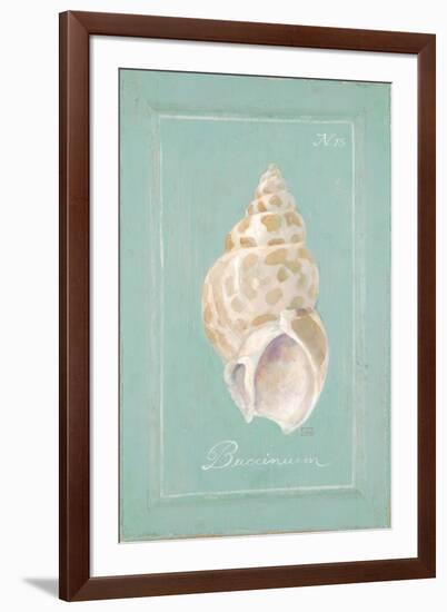 Spiral Shell-Hardenbrook Studio-Framed Premium Giclee Print