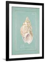 Spiral Shell-Hardenbrook Studio-Framed Premium Giclee Print