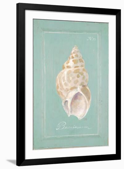 Spiral Shell-Hardenbrook Studio-Framed Premium Giclee Print