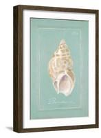 Spiral Shell-Hardenbrook Studio-Framed Art Print
